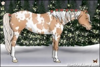 Horse Color:White Spotted Silver Bay Pearl