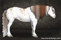 Horse Color:Brown Pearl Onyx Sabino Rabicano