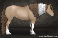 Horse Color:Black Pearl Sabino Tobiano Rabicano 