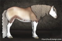 Horse Color:Liver Red Onyx Pearl Sabino Splash