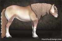Horse Color:Red Onyx Pearl Sabino