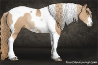 Horse Color:Chestnut Pearl Sabino Tobiano Rabicano