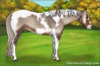 Horse Color:Silver Blue Onyx Tobiano Frame 