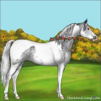 Horse Color:Silver Black Chinchilla Splash Tobiano Rabicano 