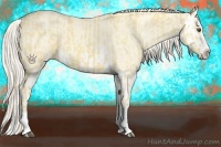 Horse Color:Palomino Dun Splash  and Cremello Dun Splash 