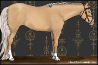 Horse Color:Chocolate Silver Sable Champagne