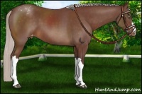 Horse Color:Chocolate Silver Brown Varnish 