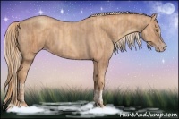 Horse Color:Gold Champagne  and Gold Champagne Roan 