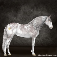 Horse Color:White Spotted Chocolate Silver Black Chinchilla Ice Rabicano and White Spotted Chocolate Silver Black Chinchilla Ice Rabicano