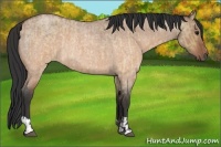 Horse Color:Brown Roan Dun  and Brown Roan Dun 
