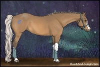 Horse Color:Silver Buckskin