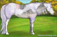 Horse Color:White Spotted Silver Black Chinchilla Ice  and White Spotted Gold Cream Champagne Chinchilla Ice Pearl 