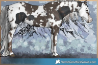 Horse Color:Silver Black Mushroom Tobiano  and Black Mushroom Splash Tobiano 