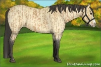 Horse Color:Buckskin Roan Splash  and Buckskin Roan Splash 