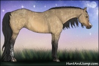 Horse Color:Buckskin Dun and Buckskin Dun