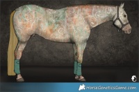 Horse Color:Red Dun Ice Brindle  and Red Dun Ice Brindle 