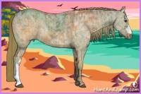 Horse Color:Red Dun Ice  and Red Dun Ice