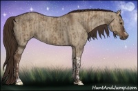 Horse Color:Liver Red Dun  and Liver Red Dun 