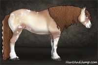Horse Color:Red Onyx Pearl Sabino