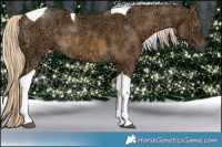 Horse Color:Chocolate Palomino Ice Mushroom Tobiano