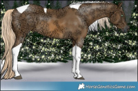 Horse Color:Chocolate Palomino Ice Mushroom Tobiano