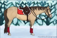 Horse Color:Amber Cream Champagne 