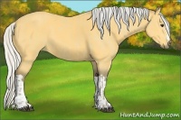 Horse Color:Silver Buckskin  and Silver Buckskin 