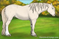 Horse Color:Smoky Creme and Perlino