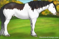 Horse Color:Brown Splash
