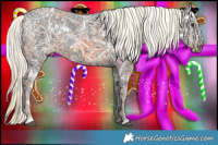 Horse Color:Chestnut Ice Mushroom  and White Spotted Liver Chestnut Ice Mushroom 