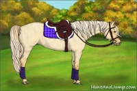 Horse Color:Palomino Roan Dun  and Palomino Roan Dun 