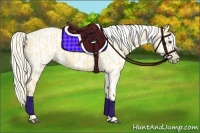 Horse Color:Palomino Roan Dun  and Palomino Roan Dun Blanket 