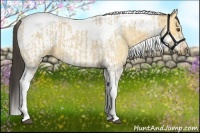 Horse Color:Buckskin Roan Dun Tobiano  and Buckskin Roan Dun Tobiano Frame 