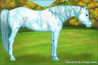 Horse Color:Thunderstruck Blue Ice Roan Splash Tobiano 