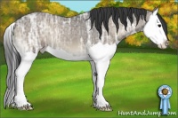 Horse Color:Grullo Ice Onyx Splash 