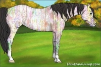 Horse Color:Bay Ice Roan 