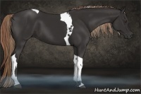 Horse Color:Liver Chestnut and Liver Chestnut Tobiano