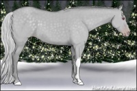 Horse Color:Silver Classic Cream Champagne Chinchilla Dun