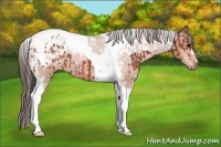 Horse Color:Bay Tobiano Varnish and Bay Tobiano Varnish