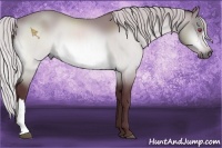 Horse Color:Chocolate Silver Bay Chinchilla 