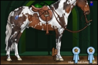 Horse Color:White Spotted Silver Buckskin 