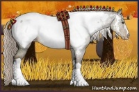 Horse Color:Chocolate Palomino Appaloosa 