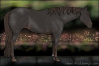 Horse Color:Liver Chestnut  and Liver Chestnut 