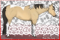 Horse Color:Buckskin Dun Tobiano