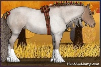 Horse Color:Black Pearl Appaloosa 