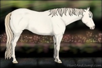 Horse Color:Perlino Roan Dun 