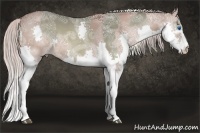 Horse Color:Liver Chestnut Ice Splash  and Chocolate Silver Bay Ice Dun Splash 