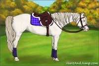 Horse Color:Perlino Dun and Perlino Dun