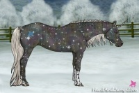 Horse Color:Midnight Liver Red Dun Ice and Midnight Chocolate Palomino Ice Pearl Dun Tobiano