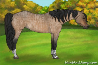 Horse Color:Bay Roan Dun and Gray Bay Roan Dun